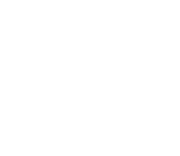 BR-Corte 4.0