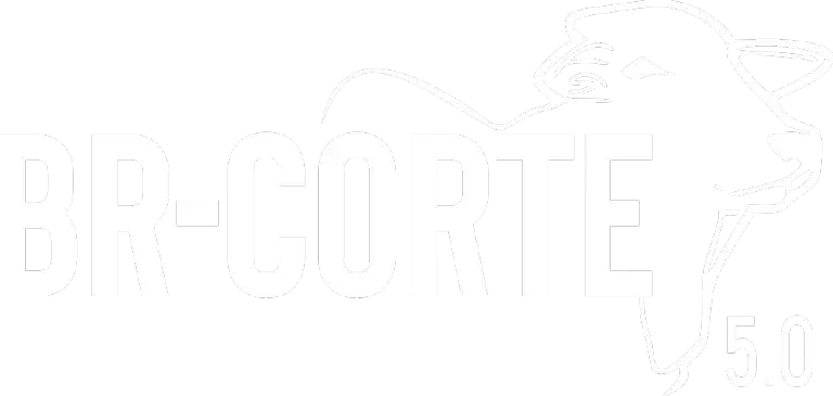 BR-Corte 5.0 Logo